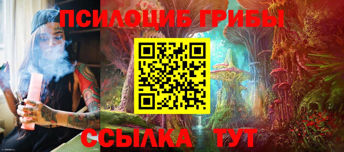 Ачинск  Галлюциногенные грибы MAGIC MUSHROOMS  Вход с VPN 